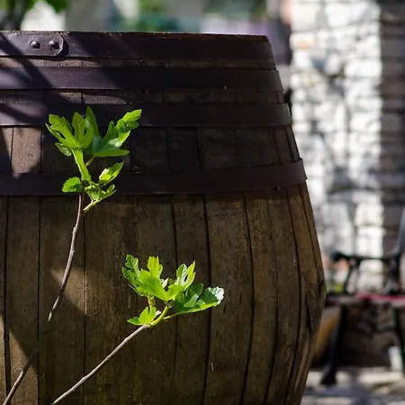 Mir فندق Međugorje