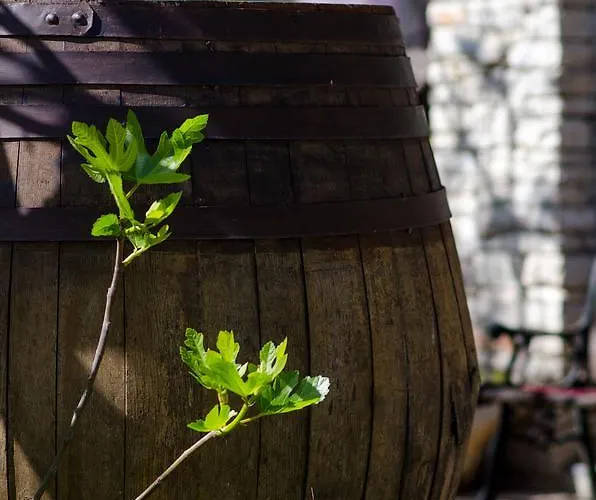 Mir Hotel Međugorje